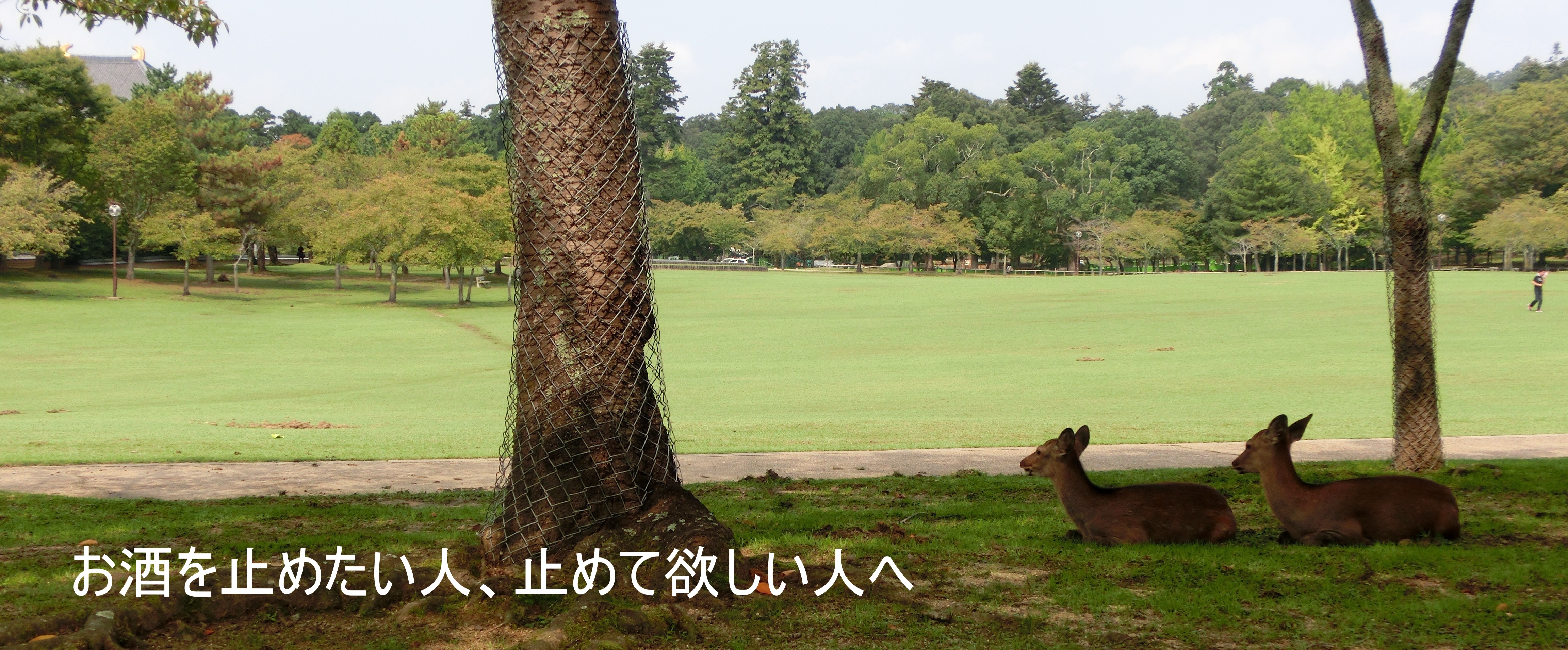 お酒をやめたい人、止めて欲しい人へ
